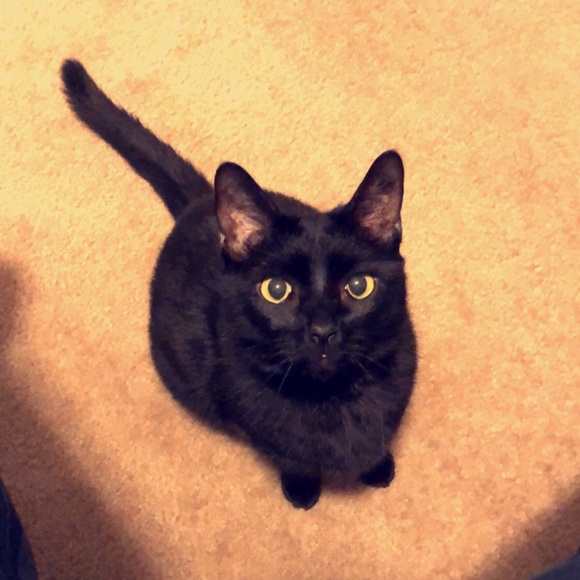 Meet your Posher, Jose - Picture 1 of 1